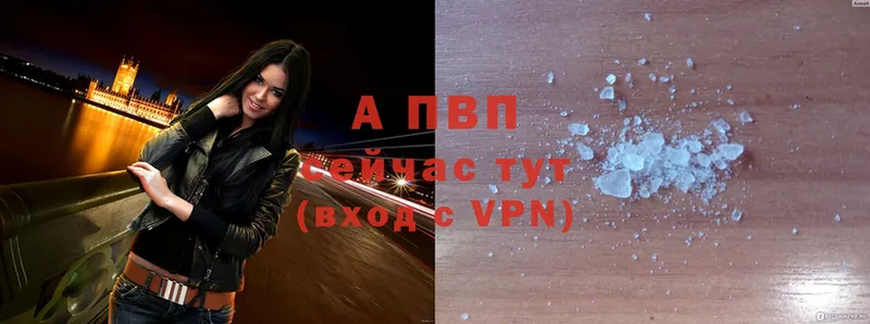 A PVP СК  Оленегорск 